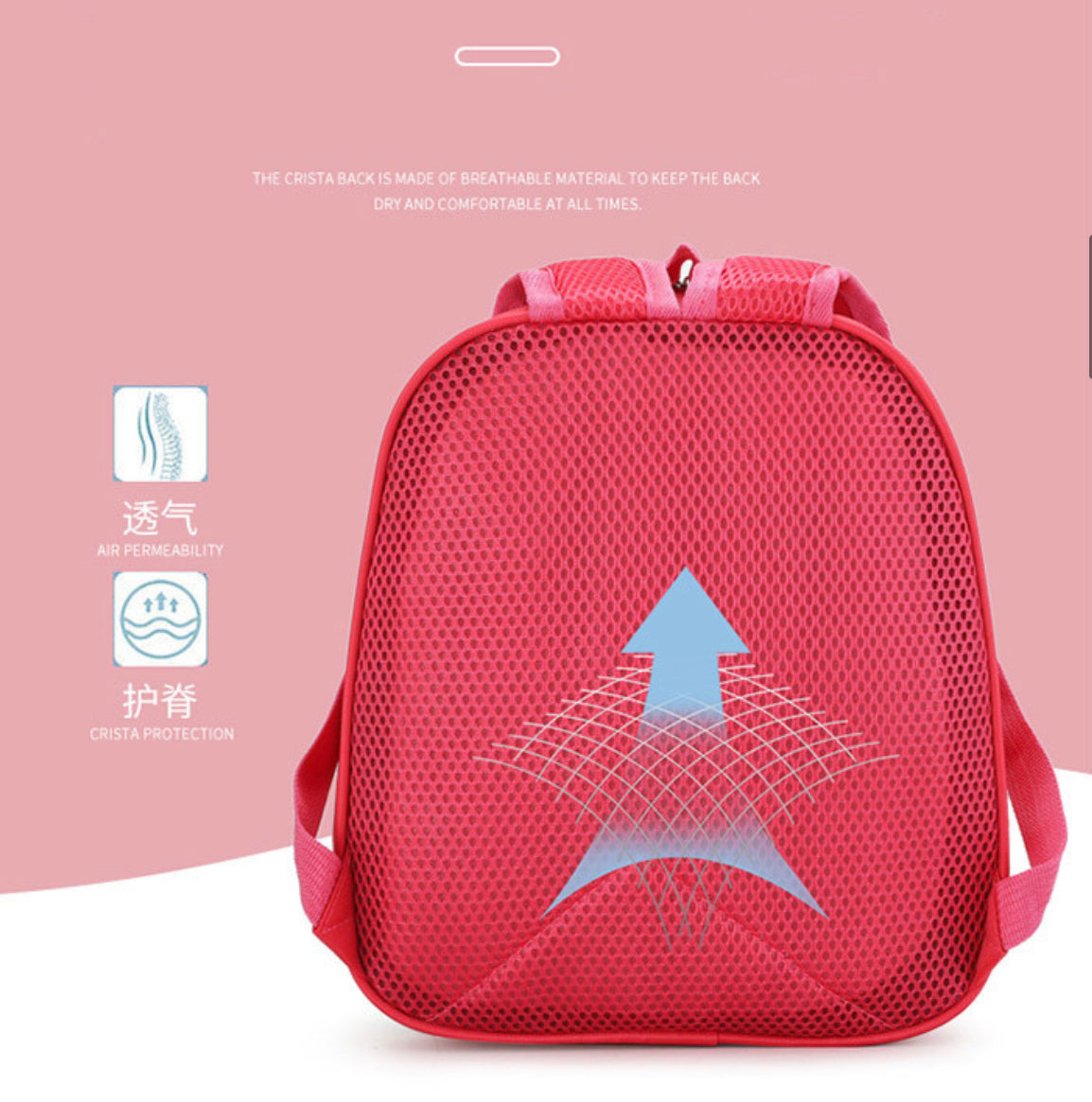 Pre School/Picnic Hardshell Backpacks