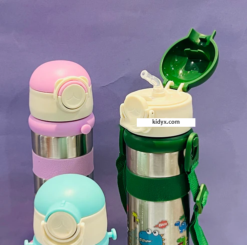 Slim and Stylist - 600ml Insulated Sippers