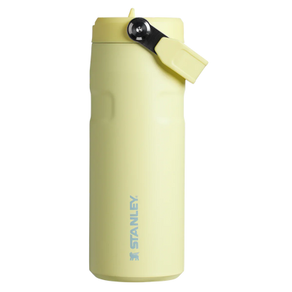 STANLEY - IceFlow™ Bottle with Flip Straw Lid | 16oz