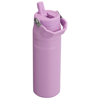 STANLEY - IceFlow™ Bottle with Flip Straw Lid | 16oz