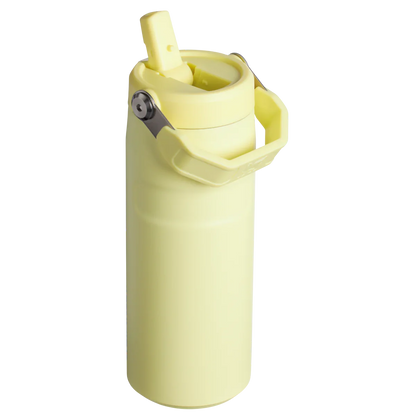 STANLEY - IceFlow™ Bottle with Flip Straw Lid | 16oz